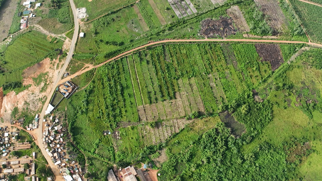 Image de propriété 4