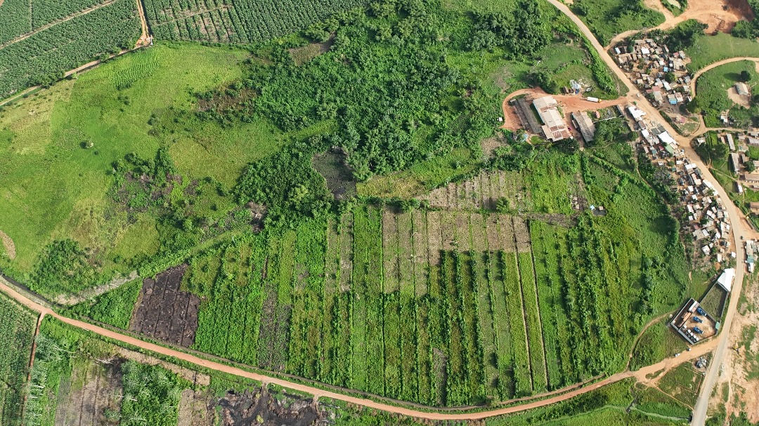 Image de propriété 5