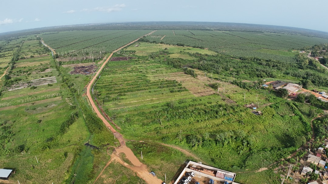 Image de propriété 6